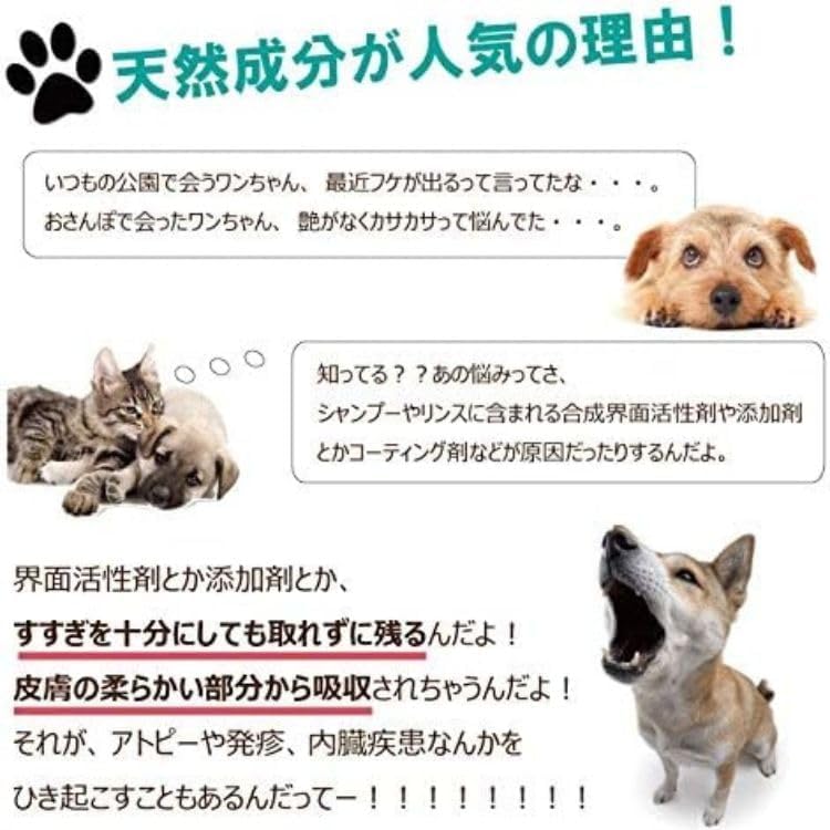 Amazon | シャンメシャン (Chien Mechant) 自然のシャンプー リンス