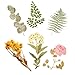 MILISTEN 6 Confezioni Piante Piante Adesivi Fiore Vegetazione Vintage Vegetazione Adesivi Scrapbooking Adesivi Decorativi Adesivi Decalcomanie per Fai da Te Scrapbook Diario Diario