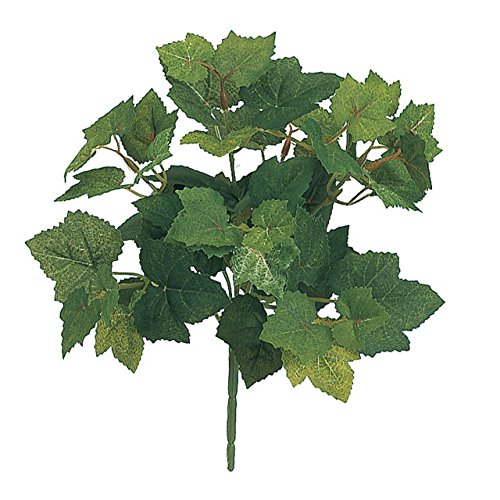   #O[ MAGIQuh G}O[vACr[ubV FG004034-zzz