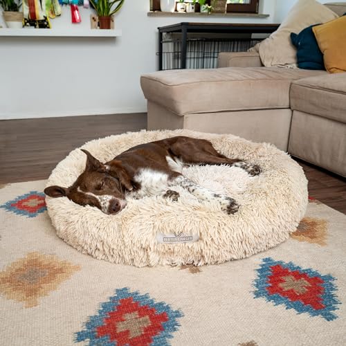 pfoten&nasen® Wolke 7 Hundebett S [Beige, 65 cm] – Flauschiges Donut-Kissen für kleine Hunde & Katzen – Waschbar mit abnehmbarem Bezug