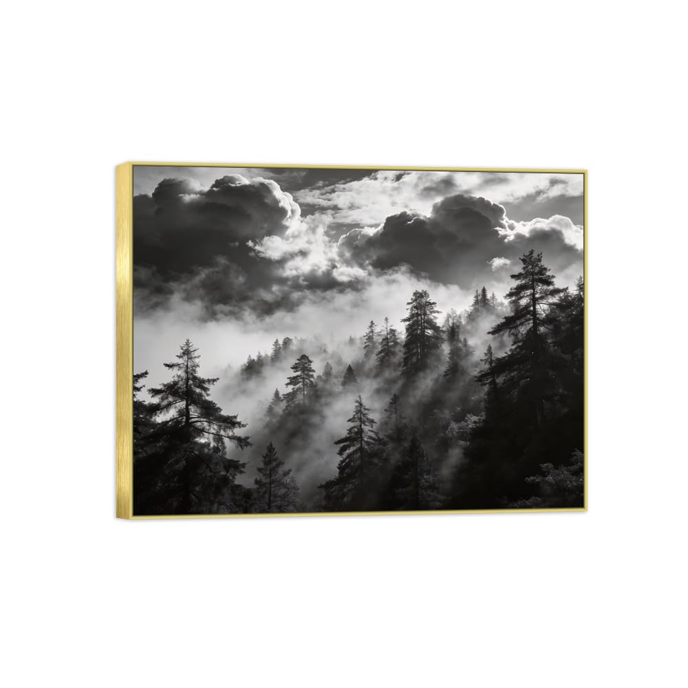 OZPWBVY Tree Clouds Black White Landscape Canvas Picture 50x65cm Gold Frame