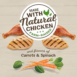 Purina Friskies Dry Cat Meals Farm Favorites with Hen  22 Lb Bag  Cucciolini Doodles Purina friskies dry cat meals farm favorites with hen  22 lb Bag   cucciolini doodles