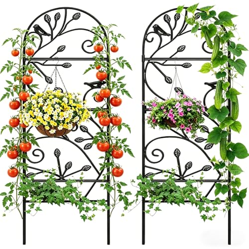 Amagabeli Treillis Jardin en Fer Forgé Noir, 2 Pièces 120x40 cm, Support Plantes Grimpantes, Treillage Métallique pour Rosiers, Clématites, Structure...