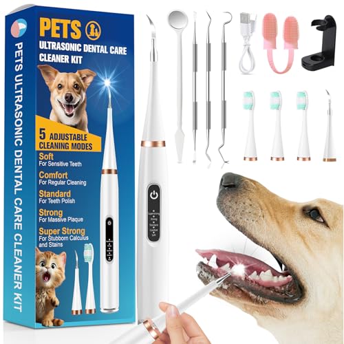 best toothbrush cleaners