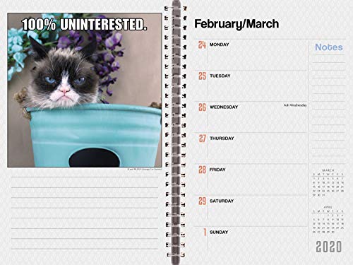 SELLERS PUBLISHING, INC. Grumpy Cat 2020 Daily Weekly Planner Organizer 18-Month: July 2019 - December 2020, 6" x 9" (CW0846)