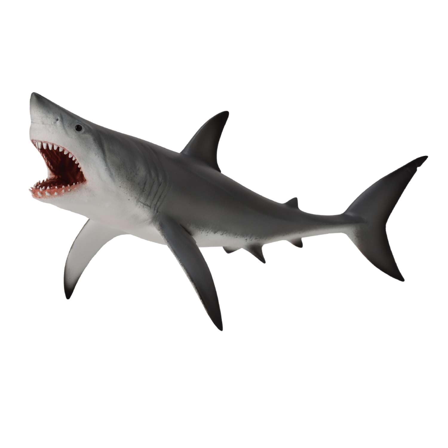 Amazon.co.jp: COLLECTA ホホジロザメ 88729 : おもちゃ