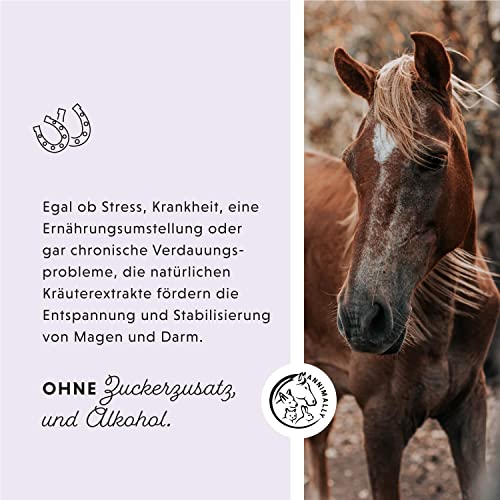 Annimally Magen Darm Liquid Pferd 1000ml - Gastro Colon Vital zur Unterstützung der Verdauung zum Beispiel bei Kotwasser - Natürliche Magen Kräuter für Pferde