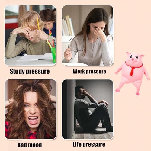 DFADKYWU Schweine Quetschspielzeug, Unbreakable Pig, Anti Stress Schwein, Kreatives Dekompressions Piggy, Pig Fidget Toy, Stress Spielzeug, Anti Stress Spielzeug für Erwachsene und Kinder