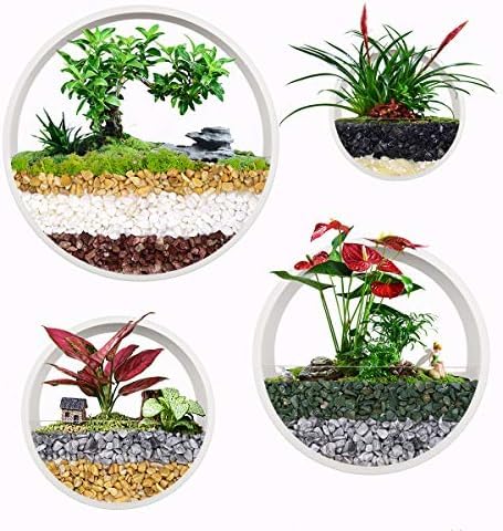 Ecosides Set Van 4 Witte Ronde Muurophangplanten Terrarium Luchtplantenhouders Muurophangcontainer Vetplantenpotten In Gemengde Grootte,Wit,Constructive23