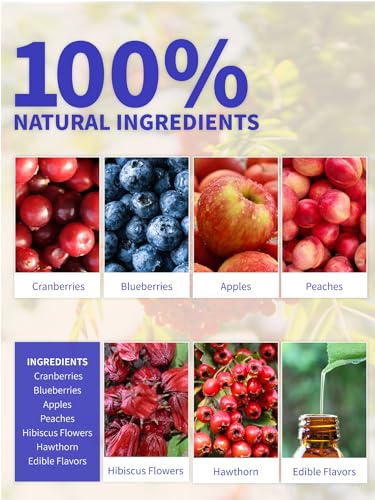 Image of TeeLux Blueberry Hibiscus Tea Bags, Caffeine Free Fruit Herbal Tea, 30Count | Sweet & Tart Fruit Flavor, Hibiscus Blend with Cranberry, Blueberry, Peach, Apple, Hibiscus, Hawthorn