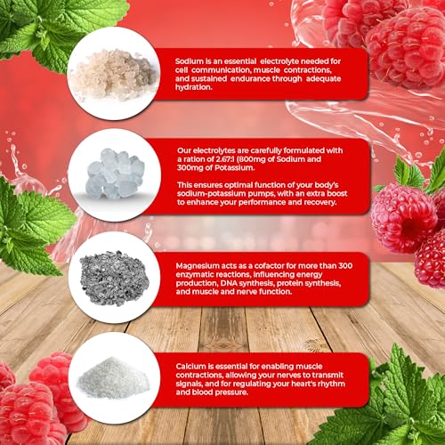 Image of Santa Cruz Paleo Electrolyte Powder, Raspberry Mint Flavor, Sugar Free Hydration Drink Mix with Himalayan Pink Salt, Sea Salt, Magnesium Glycinate, Potassium Chloride, Sweetened with Stevia, 30 Srvgs