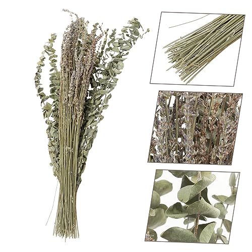 Set de hojas de eucalipto y lavanda secas preservadas miniatura 6