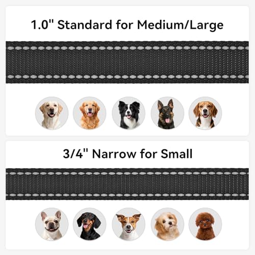 Joytale Hundeleine Kleine Hunde Leicht, Doppelseitig Reflektierende Leine Hund aus Nylon mit Gepolstertem Griff, 1,5m x 2cm, Schwarz