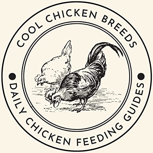 Chicken Breeds Types Guides - chickenidentifier.com Podcast Por chickenidentifier arte de portada