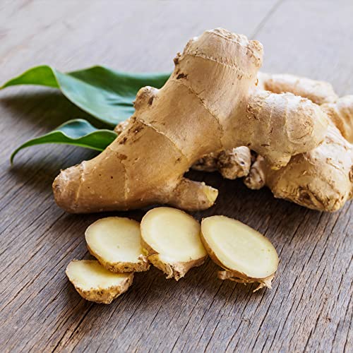 Frontier Co-op Organic Ground Ginger Root 4.09oz - Image 3