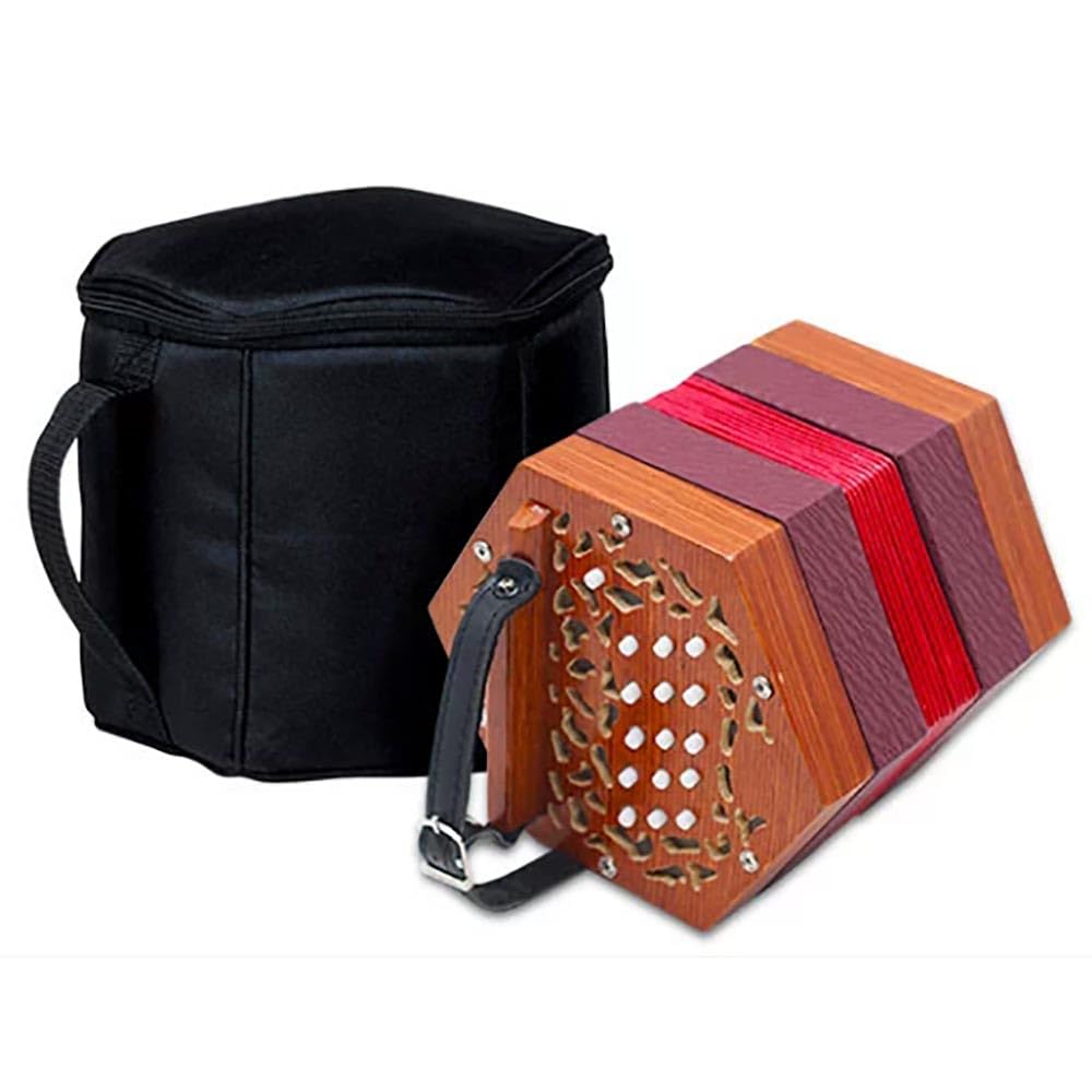 Accordéon hexagonal 20 boutons style rétro pour débutant