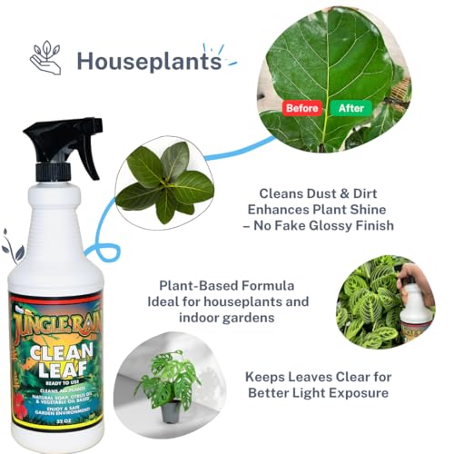 Limpiador Natural para Hojas Jungle Rain Clean Leaf 32 oz miniatura 5