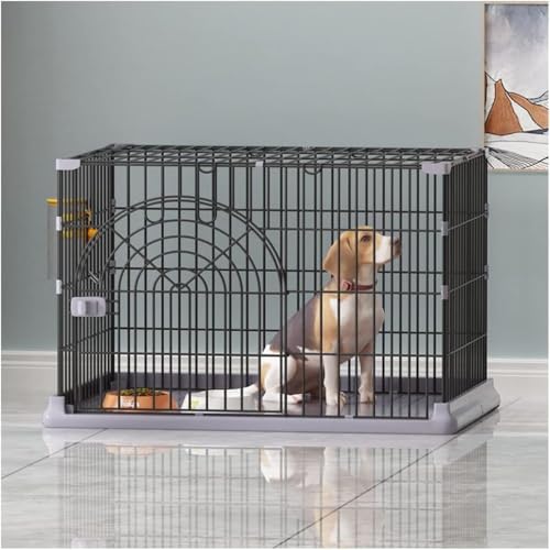 LumoLight^C[ybgLqLtFbg``P[WAvCyN[gGN[W[PlLbgz[OAL̃N[gLbgP[WPlGN[W[vCyẢƂ̃P[W (ubN)