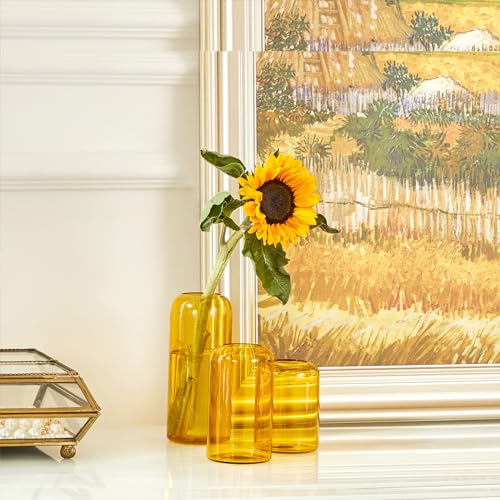 Image of ZENS Glass Bud Vase Set of 3, Hand Blown Small Amber Bud Vases for Flower Decorative, Modern Cylinder Clear Glass Vase for Wedding,Living Room Home Decor