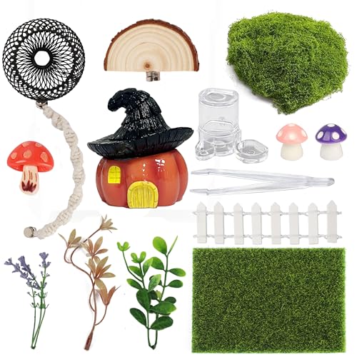 LEIZHENZI Jumping Spider Enclosure Accessories 15PCS Decor Kit with Tarantula Habitat Hide Climbing Ledge Water Dish for Spider Tank Decorations