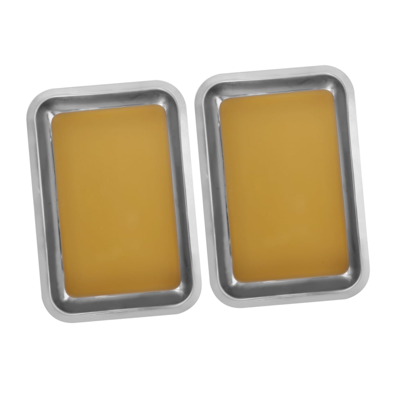 Cabilock 2 pezzi Vassoio per Dissezione Inox con Rivestimento Cera Superficie Antiscivolo per Laboratori e Istituzioni Educative per Sperimentali Ottimali