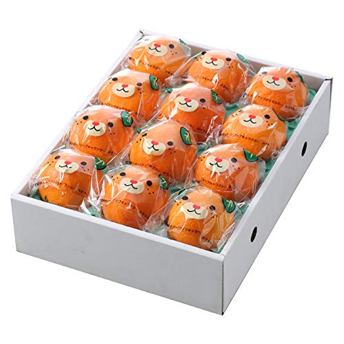 Ε ݂ g܂ǂ ݂pbP[W ԏG 3kg 10`15 QY ~J  Mtg 