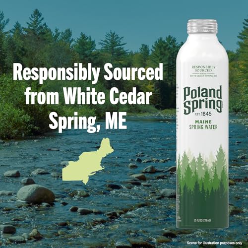 Image of Poland Spring Maine Spring Water Aluminum Bottle - Crisp, Still Bottled Water with Naturally Occurring Minerals & Electrolytes for Taste - Single - 25 fl oz