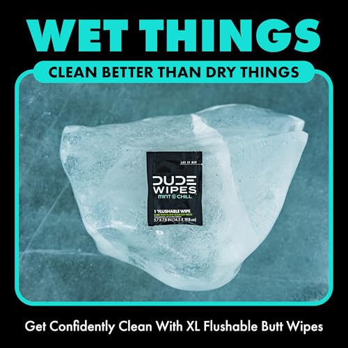 Image of DUDE Wipes On-The-Go Mint Chill Travel Wipes-Extra-Large Adult Flushable Wipes - Infused with Tea Tree Oil, Vitamin E, and Aloe - Septic and Sewer Safe,30 Count (Pack of 4)