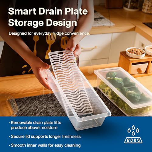 Image of HomeWiz Fridge Storage Containers 1500ml x10|Air Tight Storage Container Set with Removable Drain Plate|Fridge Organiser Storage Boxes|Food Grade Plastic Containers, Stackable for Fruits & Vegetables
