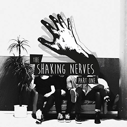 Handbags and Leather Shoes