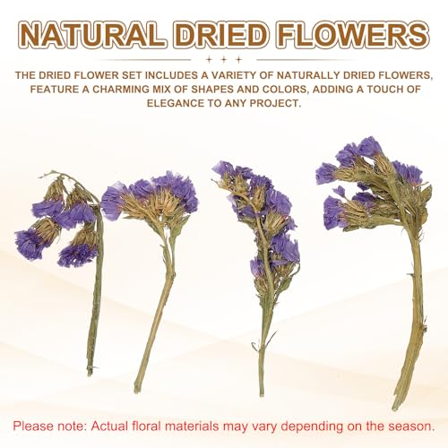 Set Natural de Flores Secas - UXCell miniatura 3