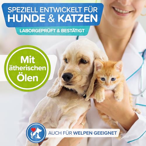 Milbenspray Hunde & Katzen, effektive Milben-Abwehr 500ml mit ätherischen Ölen - Grasmilben Spray für Hunde & Katzen, Milbenspray Hund, Milbenspray Katze - dezenter Duft, wirksam und laborgeprüft