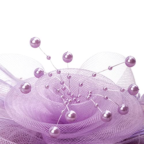 Image of DRESHOW Fascinators Hat Flower Mesh Ribbons Feathers on a Headband and a Clip Tea Party Headwear for Girls and Women