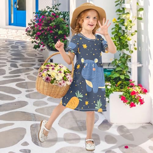 Girls Summer Dress Short Sleeve A Line Blue Hippo Orange Carrots Casual Dresses for Kids 2-8 Years3