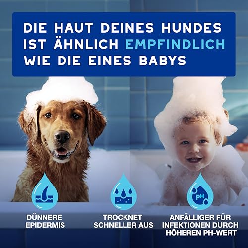 DOUXO Skin & Coat SPA – Ultra-Safe* Trockenshampoo Hund, 150 ml, säubert und erfrischt das Fell, hinterlässt das Fell weich, glänzend und angenehm duftend, hautfreundliche Formel
