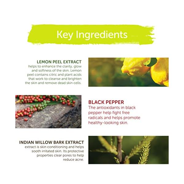 Himalaya-Mens-Intense-Oil-Clear-Lemon-Face-Wash-Deep-Cleaning-Daily-Facial-Cleanser-Non-Drying-For-Normal-to-Oily-Skin-338-oz Himalaya Men's Intense Oil Clear Lemon Face Wash, Deep Cleaning Daily Facial Cleanser, Non-Drying, For Normal to Oily Skin, 3.38 oz