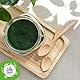 Bio Chlorella Pulver - 500g. Chlorella Algen Pulver Aus Algenpulver mit Chlorophyll-Proteinen und Vitamin B12 und C für Vegetarier und Veganer. Es Enthält Außerdem Zink und Antioxidantien.