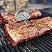 SINARDO Meat Thermometer for Oven T731, BBQ Thermometer, Oven Safe, Large 2.5-Inch Easy-Read Face, Stainless Steel Stem and Housing