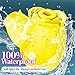 Suction Rose Toy 2024 Upgraded Version Novelties Rose Hand Held Adult Tools 10 Mode 10 Insert 10 Suck Gifts Couples Unique NV121816