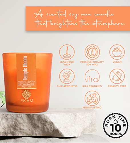Image of EKAM Temple Bloom Votive Soy Wax Scented Candle, 40 Grams, 10 Hours Burn Time| Long Lasting Premium Candles | Ideal for Home Decor | Gifting & Aromatherapy (Pack of 12)