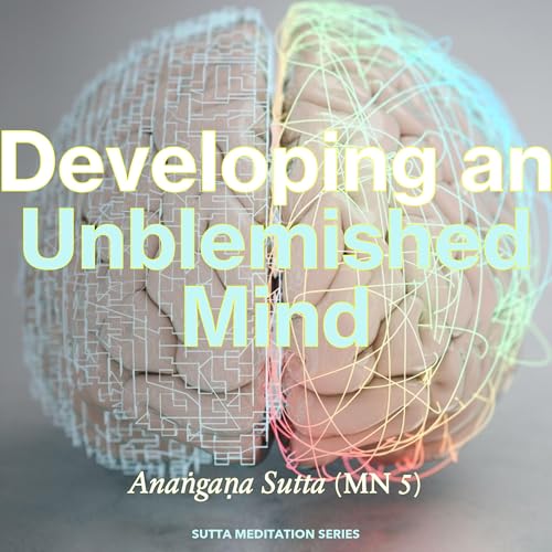 DEVELOPING AN UNBLEMISHED MIND