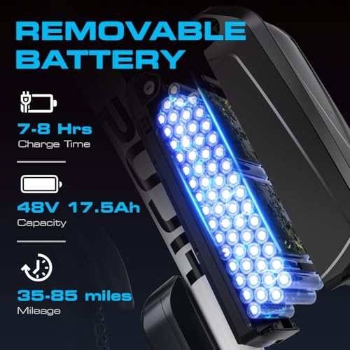 PUJH 2000W Ebike 29