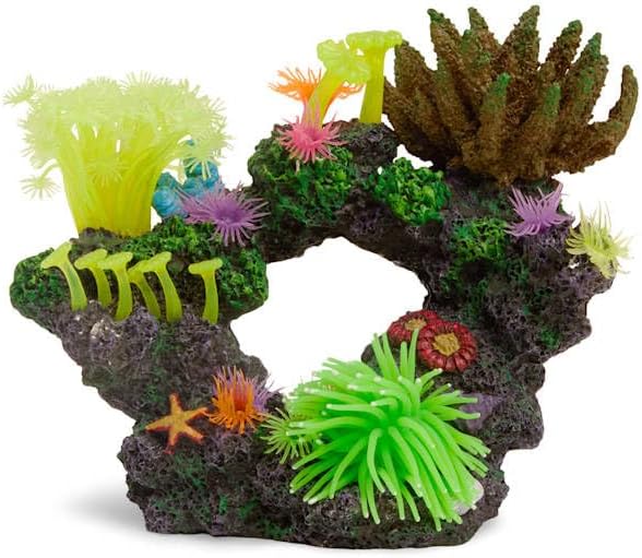 imagitarium by Petco Coral with Silicone Swim-Through Small