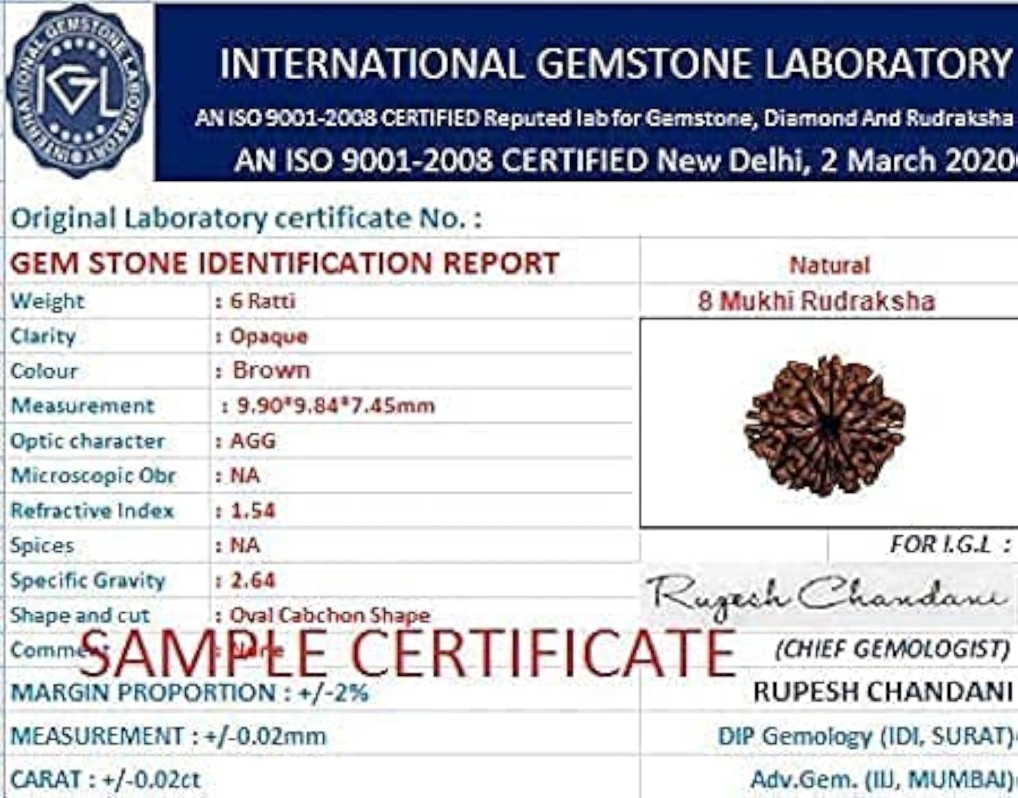 8 Mukhi Rudraksha Nepali Beads, Genuine Lab Certified