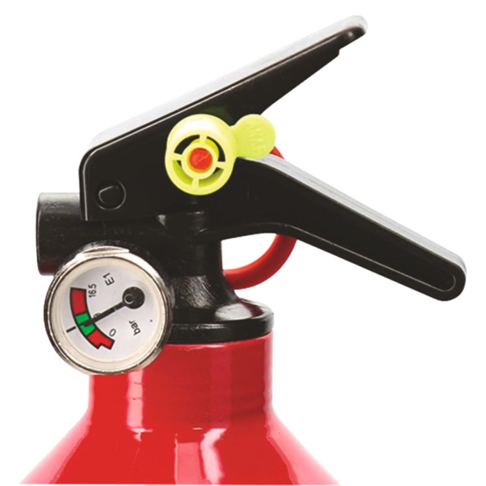 Autobest Lot de 2 extincteurs 1kg à Poudre - Classes de Feux ABC - avec manomètre et Support - pour Voiture et Maison