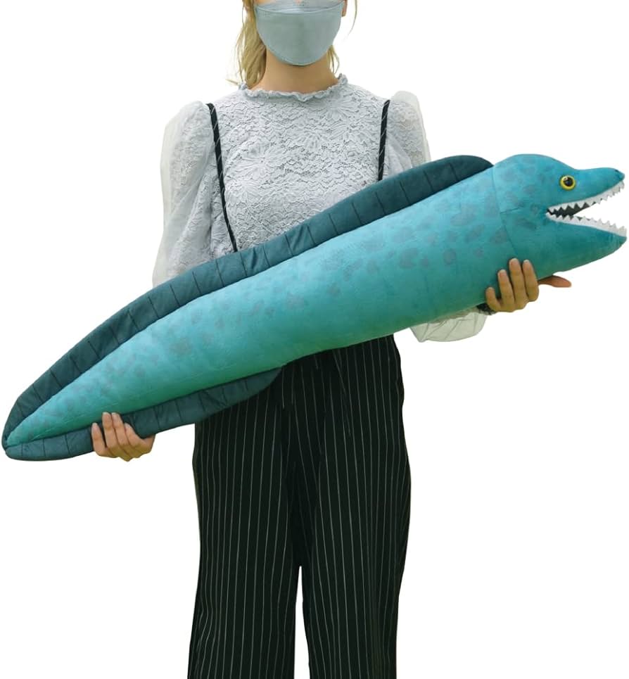 Amazon.co.jp: 山二(Yamani) BIG HUG ZOO ぬいぐるみ(ウツボ