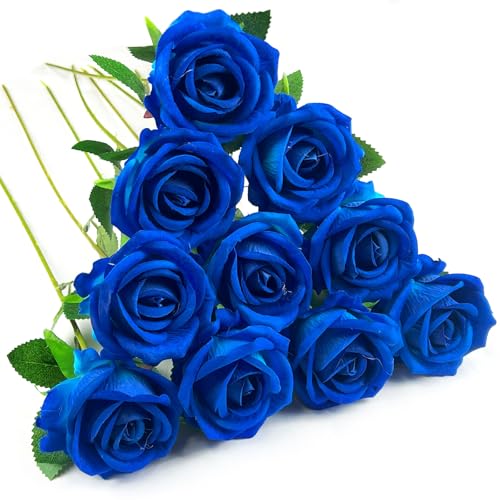 DECEED  o [Y KN 10{Zbg ԑ o^Cf[ u[P ̓  a Ԍa7cm×50cmiu[j