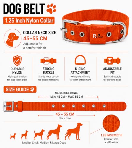 Image of RvPaws Belt Combo - Nylon Collar with 63-Inch Heavy Chain | Adjustable Pet Collar and Leash Set for Medium & Large Dogs (Orange, 1.25 Inch)