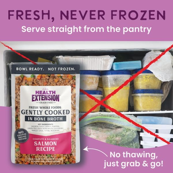 Health Extension Gently Cooked Grain-Free Salmon Dog Food, Human-Grade & Shelf-Stable with Superfoods, Supports Digestion, Immunity, Skin & Coat, 9 oz Pouch (Pack of 1) - Image 4