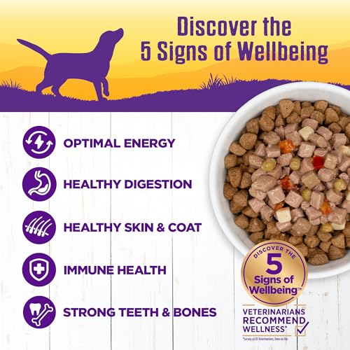 Image of Wellness Complete Health Stew Adult Canned Wet Dog Food, Grain Free, Natural, Chicken Recipe, 12.5 oz, Pack of 12 Cans